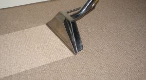 carpet cleaning meath