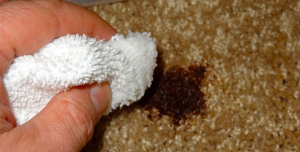 Carpet-Cleaning Secrets From the expert