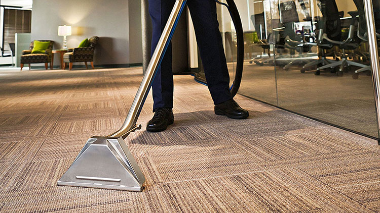 Budget Friendly Carpet Cleaning In Dublin