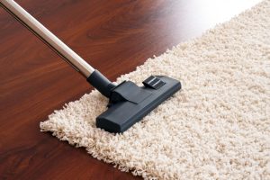 Professional Experienced Carpet Cleaning In Meath & Surrounding Areas
