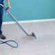 Carpet Cleaners Why You Need the Professionals