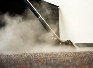 What are The Different Types of Carpet Cleaning in the Market