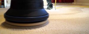 bonnet cleaning - carpet dublin